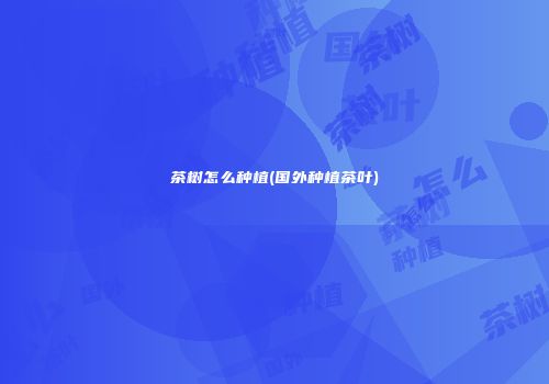 茶树怎么种植(国外种植茶叶)