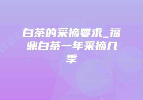 白茶的采摘要求_福鼎白茶一年采摘几季