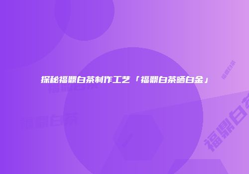 探秘福鼎白茶制作工艺「福鼎白茶晒白金」