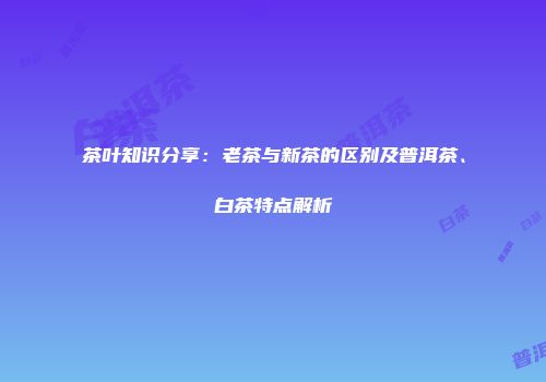 茶叶知识分享：老茶与新茶的区别及普洱茶、白茶特点解析