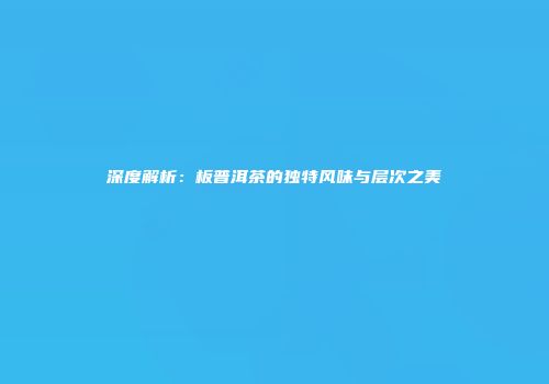 深度解析：板普洱茶的独特风味与层次之美