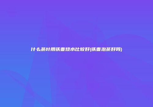 什么茶叶用铁壶烧水比较好(铁壶泡茶好吗)
