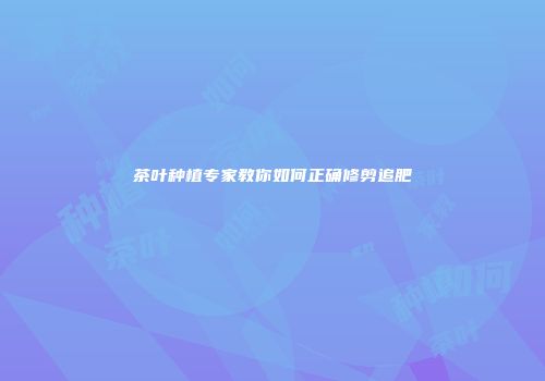 茶叶种植专家教你如何正确修剪追肥