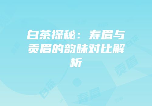 白茶探秘：寿眉与贡眉的韵味对比解析