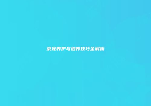 茶宠养护与泡养技巧全解析