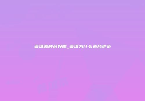 普洱哪种茶好喝_普洱为什么适合种茶