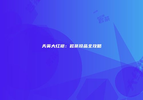 天英大红袍：岩茶珍品全攻略
