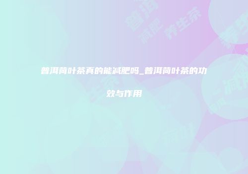 普洱荷叶茶真的能减肥吗_普洱荷叶茶的功效与作用