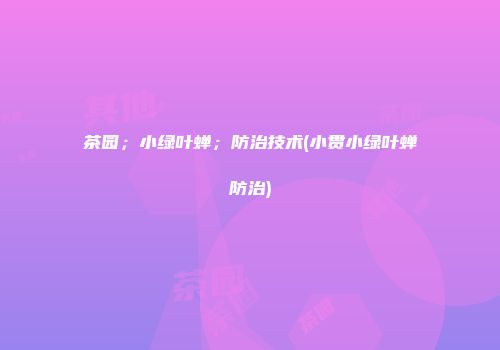 茶园；小绿叶蝉；防治技术(小贯小绿叶蝉防治)