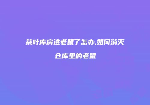 茶叶库房进老鼠了怎办,如何消灭仓库里的老鼠