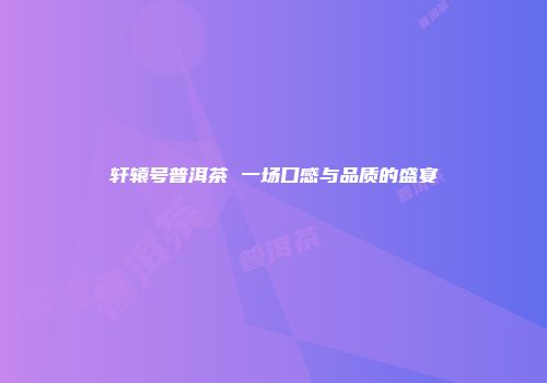 轩辕号普洱茶 一场口感与品质的盛宴