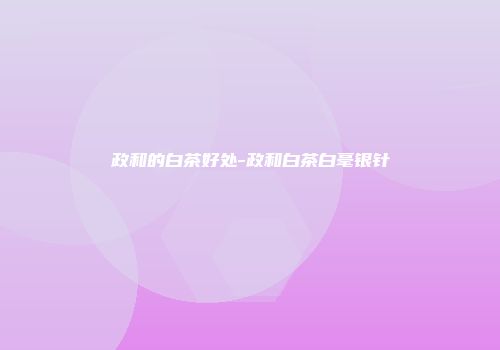 政和的白茶好处-政和白茶白毫银针