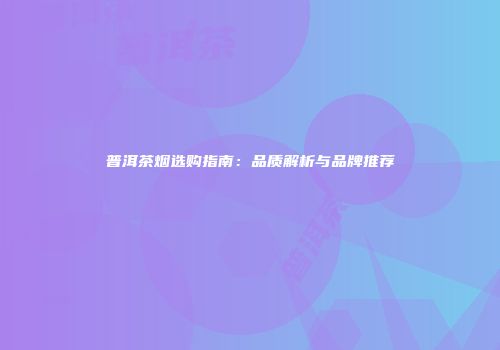普洱茶烟选购指南：品质解析与品牌推荐