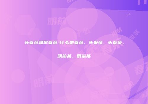 头春茶和早春茶-什么是春茶、头采茶、头春茶、明前茶、雨前茶