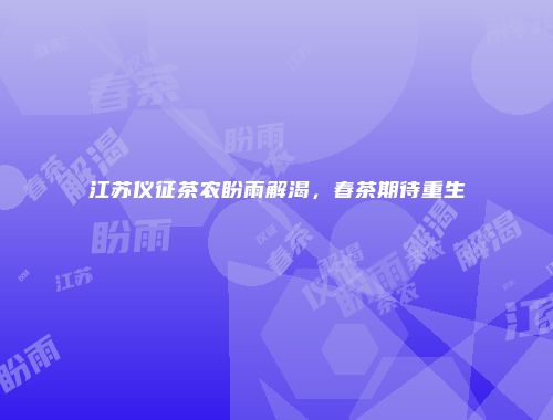 江苏仪征茶农盼雨解渴，春茶期待重生