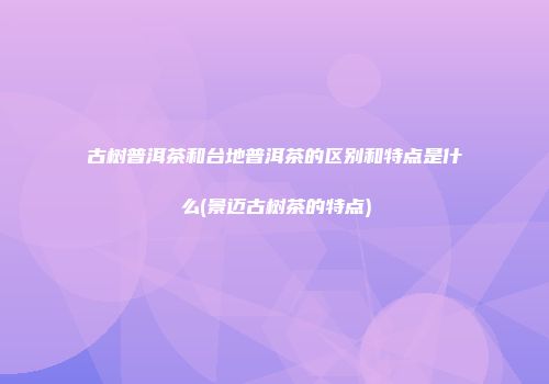 古树普洱茶和台地普洱茶的区别和特点是什么(景迈古树茶的特点)