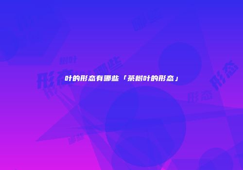叶的形态有哪些「茶树叶的形态」