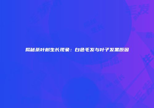揭秘茶叶树生长现象：白色毛发与叶子发黑原因