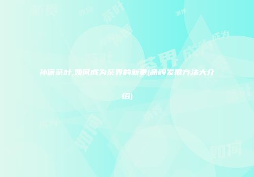 孙俪茶叶,如何成为茶界的新贵(品牌发展方法大介绍)