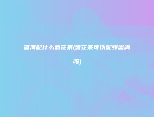 普洱配什么菊花茶(菊花茶可以配蜂蜜喝吗)