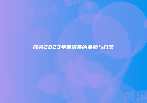 探寻2023年普洱茶的品质与口感