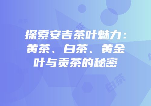 探索安吉茶叶魅力：黄茶、白茶、黄金叶与贡茶的秘密