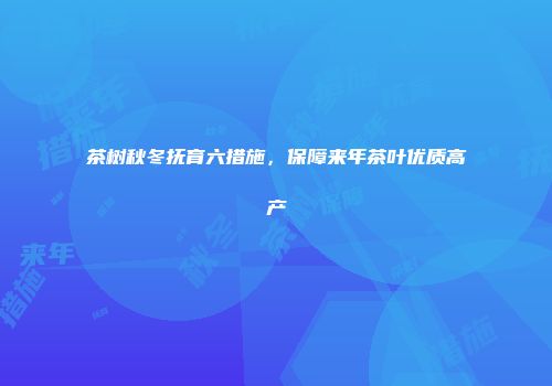 茶树秋冬抚育六措施，保障来年茶叶优质高产
