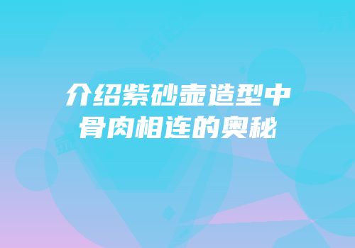 介绍紫砂壶造型中骨肉相连的奥秘
