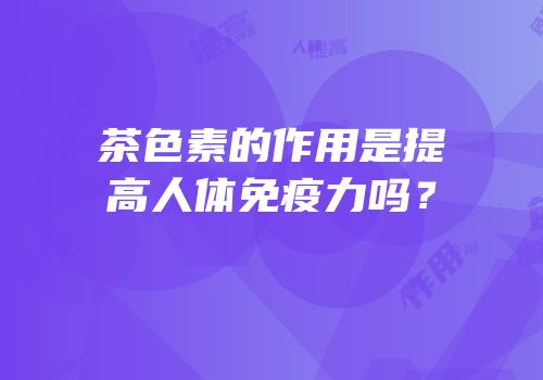 茶色素的作用是提高人体免疫力吗？