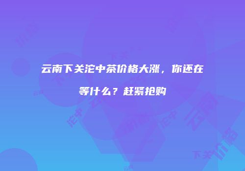 云南下关沱中茶价格大涨，你还在等什么？赶紧抢购