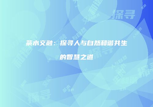 茶水交融：探寻人与自然和谐共生的智慧之道