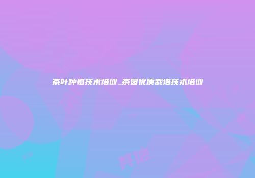 茶叶种植技术培训_茶园优质栽培技术培训