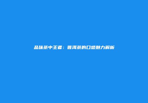 品味茶中王者：普洱茶的口感魅力解析