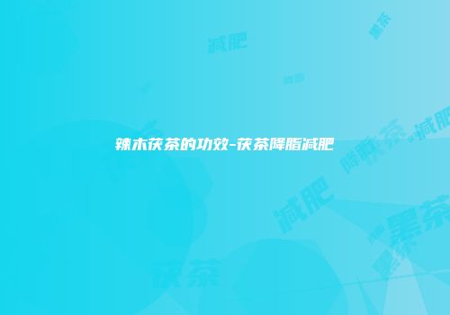 辣木茯茶的功效-茯茶降脂减肥