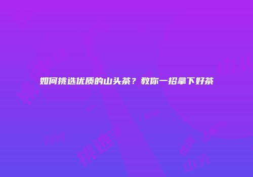 如何挑选优质的山头茶？教你一招拿下好茶