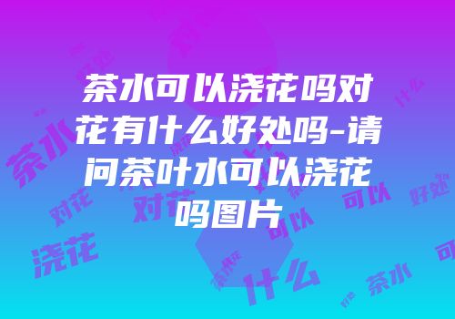 茶水可以浇花吗对花有什么好处吗-请问茶叶水可以浇花吗图片