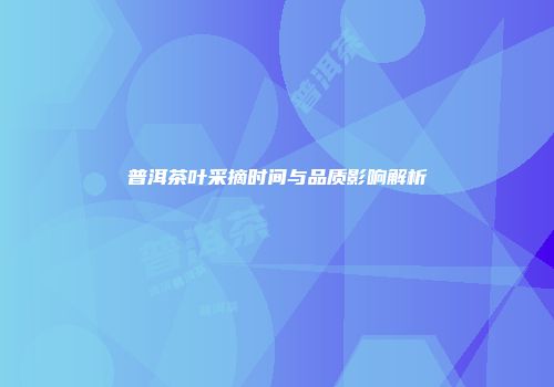 普洱茶叶采摘时间与品质影响解析