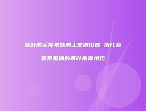 茶叶的采摘与炒制工艺的形成_清代茶农将采摘的茶叶杀青烘焙