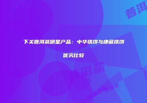 下关普洱茶明星产品：中华铁饼与康藏铁饼优劣比较