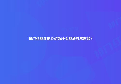 祁门红茶茶梗介绍为什么茶农们不愁嫁？