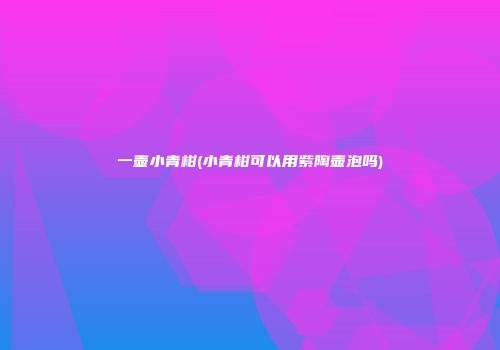 一壶小青柑(小青柑可以用紫陶壶泡吗)