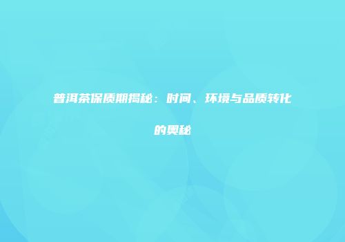普洱茶保质期揭秘：时间、环境与品质转化的奥秘