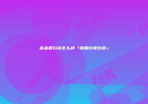 品品香白茶怎么样「南糯白毫白茶」