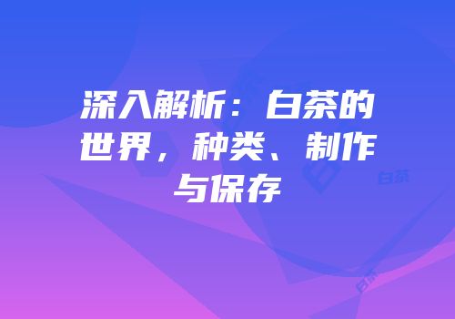 深入解析：白茶的世界，种类、制作与保存