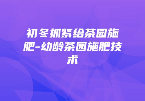 初冬抓紧给茶园施肥-幼龄茶园施肥技术