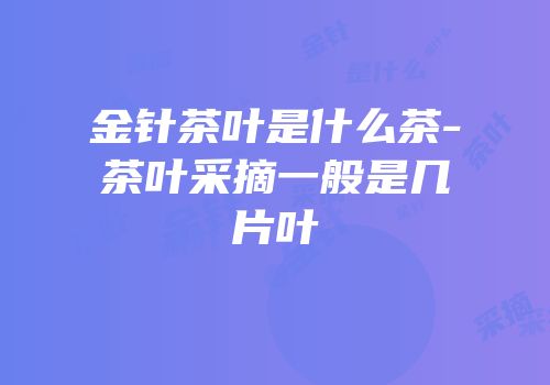 金针茶叶是什么茶-茶叶采摘一般是几片叶