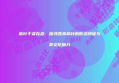 茶叶千姿百态：探寻各类茶叶的形态特征与茶文化魅力