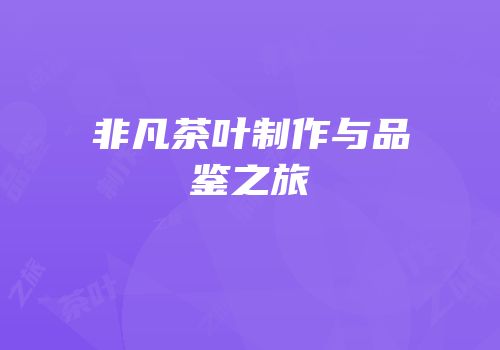 非凡茶叶制作与品鉴之旅