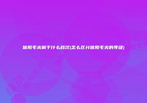 信阳毛尖属于什么档次(怎么区分信阳毛尖的等级)