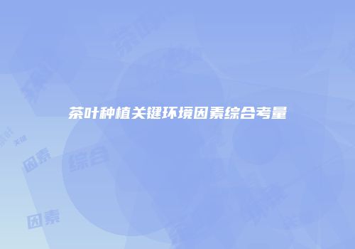 茶叶种植关键环境因素综合考量